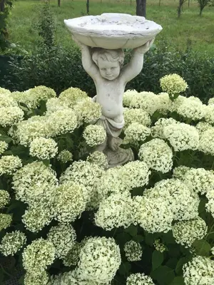 Ein Garten an der Unterkunft Eifel-Moezelhuis