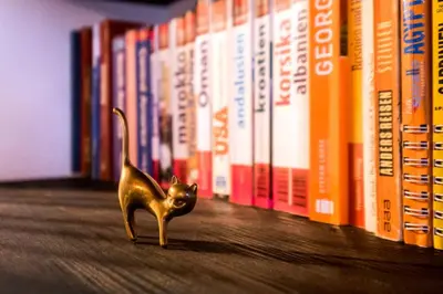 Die Bibliothek in der Ferienwohnung