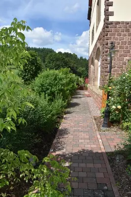 Ein Garten an der Unterkunft Falkennest