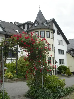 Ein Garten an der Unterkunft Hotel zum Rehberg