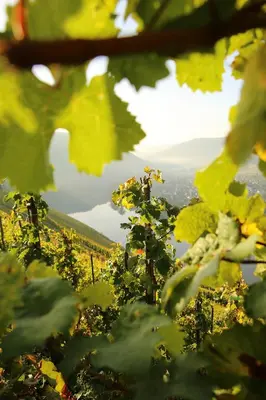 Naturlandschaft in der Nähe der Pension