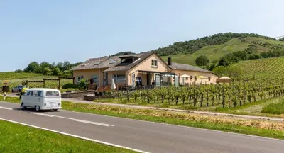 Naturlandschaft in der Nähe des Bed & Breakfasts