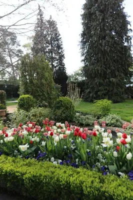 Ein Garten an der Unterkunft Hotel Weinlaube