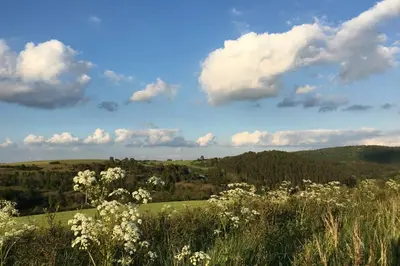 Naturlandschaft in der Nähe der Ferienwohnung