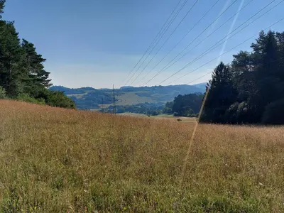 Naturlandschaft in der Nähe der Ferienwohnung