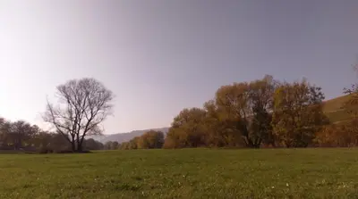 Naturlandschaft in der Nähe der Ferienwohnung