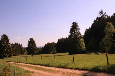 Naturlandschaft in der Nähe des Hotels