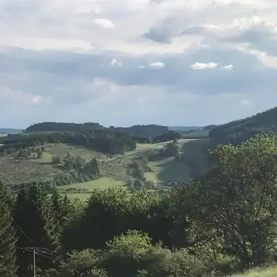 Bildstein's 