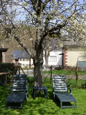 Ein Garten an der Unterkunft Ferienwohnung Dasch, bei Idar-Oberstein im Nationalpark Hunsrück-Hochwald