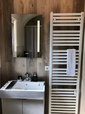 Ein Badezimmer in der Unterkunft Ferienwohnung Schlich