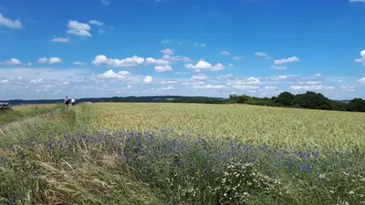 Naturlandschaft in der Nähe der Ferienwohnung