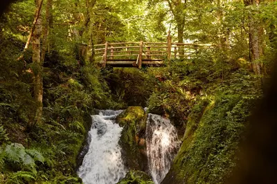Naturlandschaft in der Nähe der Ferienwohnung