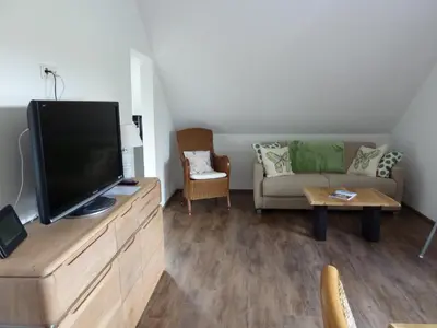 TV/Unterhaltungsangebot in der Unterkunft Schinderhanneshof