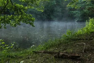 Naturlandschaft in der Nähe der Pension