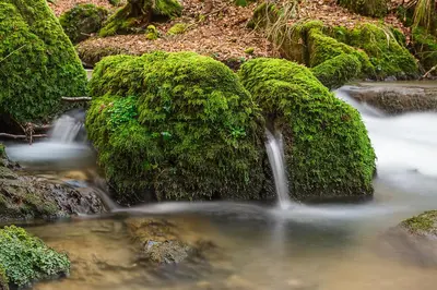 Naturlandschaft in der Nähe der Pension