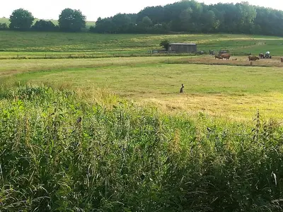 Naturlandschaft in der Nähe der Ferienwohnung