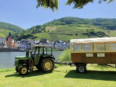 Naturlandschaft in der Nähe der Ferienwohnung