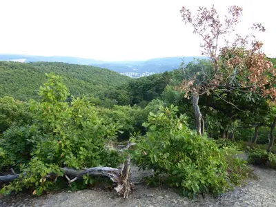 Naturlandschaft in der Nähe der Pension
