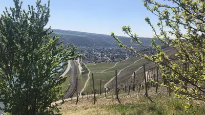 Naturlandschaft in der Nähe der Ferienwohnung