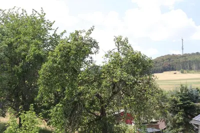 Naturlandschaft in der Nähe des Ferienhauses