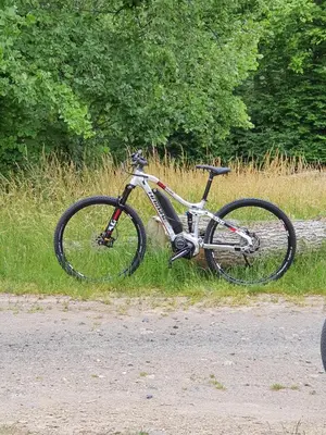 Radfahren an der Unterkunft Moselfeeling co2frei oder in der Nähe