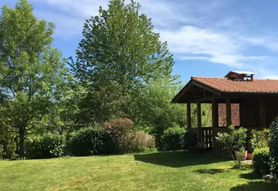 Ein Garten an der Unterkunft Ellis Garden