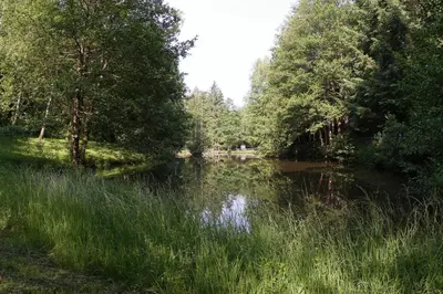 Naturlandschaft in der Nähe des Hotels