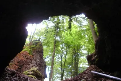 Naturlandschaft in der Nähe der Ferienwohnung