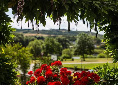 Naturlandschaft in der Nähe des Hotels