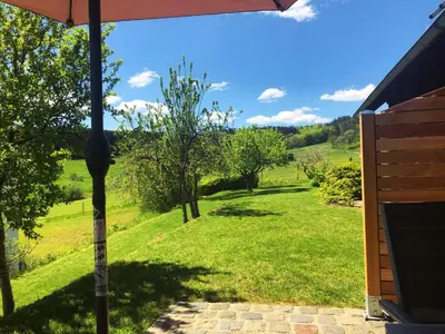 Ein Garten an der Unterkunft Waldhaus-Vulkaneifel