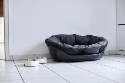 Ein Sitzbereich in der Unterkunft fewo-elzerhof