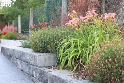 Ein Garten an der Unterkunft Ferienhaus Däschinger Das Zweiradparadies
