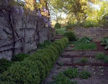 Ein Garten an der Unterkunft Hotel zum alten Brauhaus