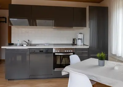 Küche/Küchenzeile in der Unterkunft Ferienhaus Am Reilsbach