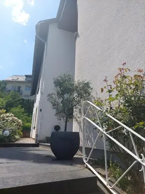 Ein Garten an der Unterkunft Ferienhaus Am Reilsbach