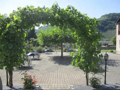 Ein Garten an der Unterkunft Ferienwohnung Römerweinhof