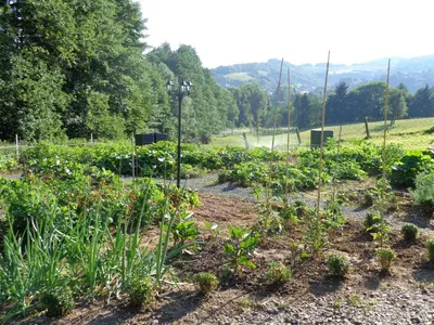 Ein Garten an der Unterkunft Waldhotel Felschbachhof