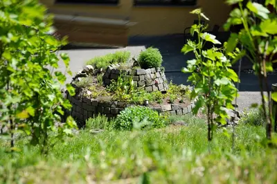 Ein Garten an der Unterkunft Waldhotel Felschbachhof