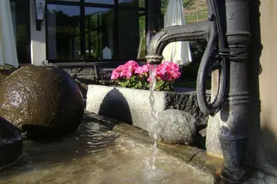 Ein Garten an der Unterkunft Hotel Sewenig