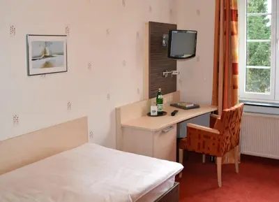 TV/Unterhaltungsangebot in der Unterkunft Hotel Zur Mühle