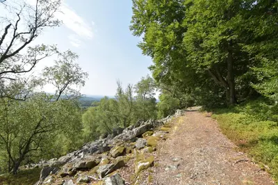 Naturlandschaft in der Nähe der Pension