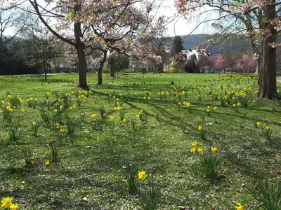 Naturlandschaft in der Nähe der Ferienwohnung