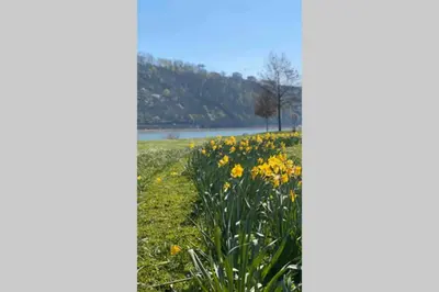 Naturlandschaft in der Nähe der Ferienwohnung