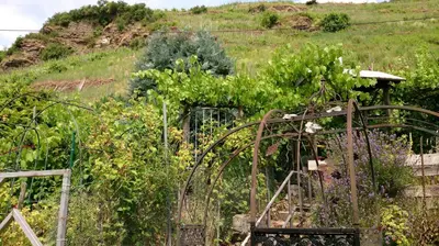 Ein Garten an der Unterkunft Mosel View