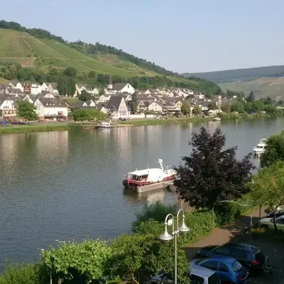 Mosel View