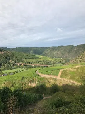 Naturlandschaft in der Nähe des Bed & Breakfasts
