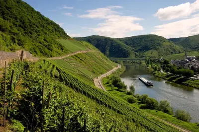 Naturlandschaft in der Nähe der Pension
