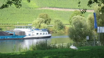 Naturlandschaft in der Nähe der Ferienwohnung