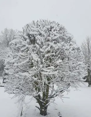 Ferienhaus Dreier-Ley im Winter