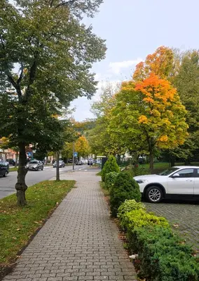 Grundriss der Unterkunft Alembra - Hotel zur Moselbrücke